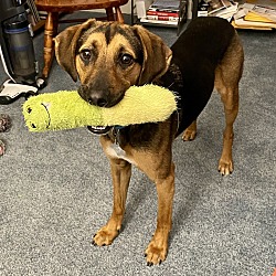 Photo of Niko