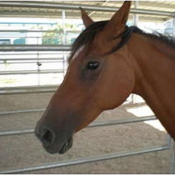 Photo of Fiona-Sponsorship