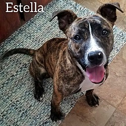 Thumbnail photo of Estella "Stella" #1