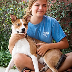Thumbnail photo of Sweet Jersey ~ ADOPTED! #2