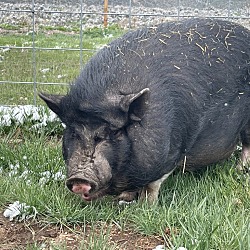 Photo of Amy