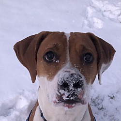 Photo of Skye