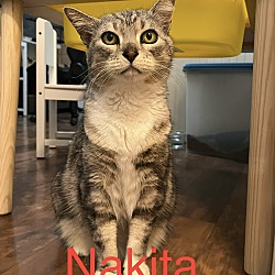 Photo of Nakita