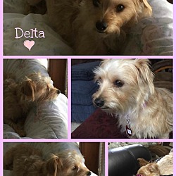 Thumbnail photo of DELTA #4