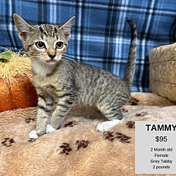 Photo of Tammy