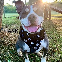 Thumbnail photo of Hank #2