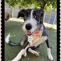 Photo of Lila