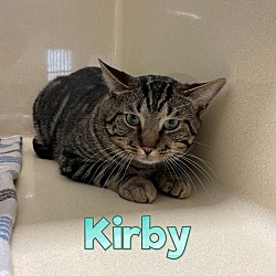 Thumbnail photo of Kirby #2