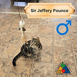 Thumbnail photo of Sir Jeffery Pounce #1
