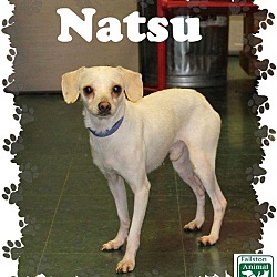 Thumbnail photo of Natsu #2