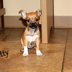 Thumbnail photo of Betty~adopted! #3