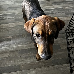 Photo of Mason “May May”