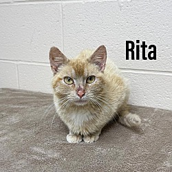 Photo of Rita