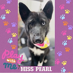 Thumbnail photo of Miss Pearl #1