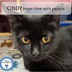Thumbnail photo of Cindy #1