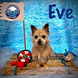 Thumbnail photo of Eve #2