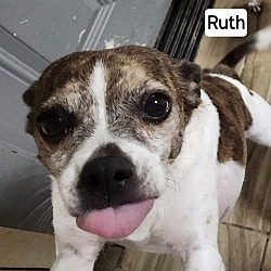 Thumbnail photo of Ruth #2