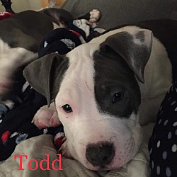 Photo of Todd