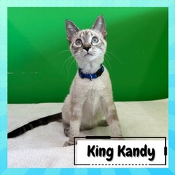 Thumbnail photo of King Candy #2