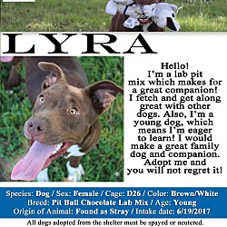 Thumbnail photo of Lyra #2