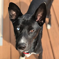 Photo of Coco