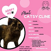 adopt a pet
