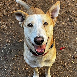 Thumbnail photo of TUCK #4