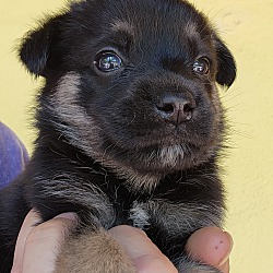 Photo of Kai