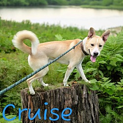 Thumbnail photo of Cruise #2