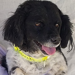 Photo of Belle
