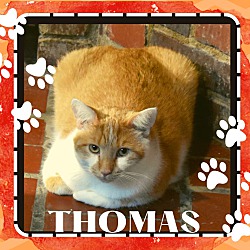 Photo of Thomas