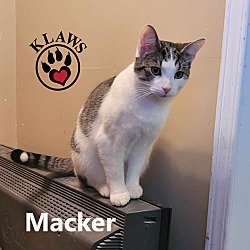 Thumbnail photo of Macker #3