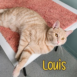 Thumbnail photo of Louis (Vuitton) #4
