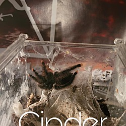Photo of Cinder