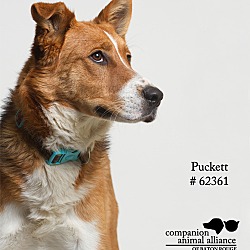 Thumbnail photo of Puckett #3