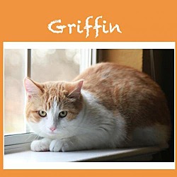 Photo of Griffin