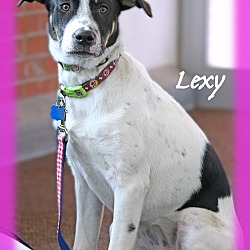 Thumbnail photo of Lexy #1
