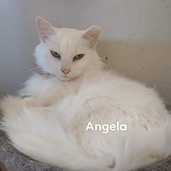 Photo of Angela