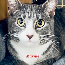 Photo of Marnie