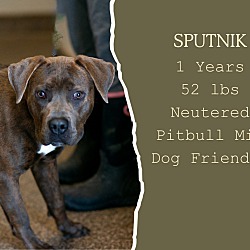 Photo of Sputnik