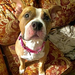 Photo of Princess