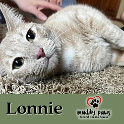 Thumbnail photo of Lonnie #3