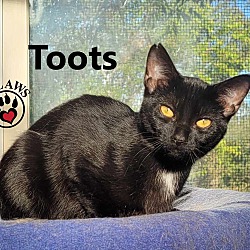 Thumbnail photo of Toots #2