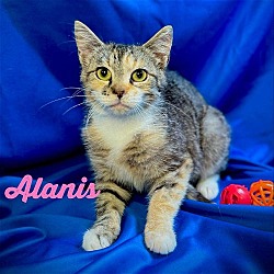Photo of Alanis