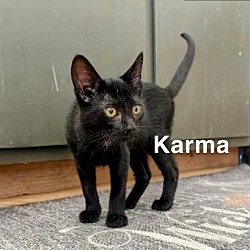 Photo of Karma