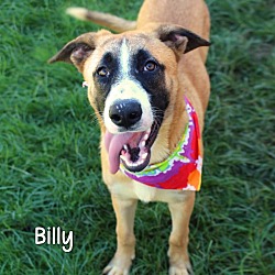 Thumbnail photo of Billy #1