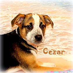 Thumbnail photo of Cezar ~ meet me! #1