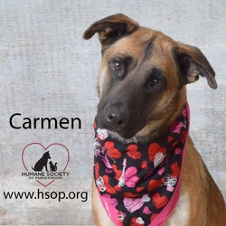 Thumbnail photo of Carmen #1