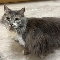 Photo of Qui