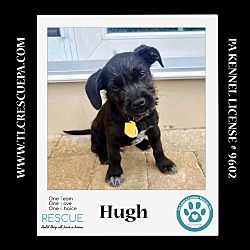 Thumbnail photo of Hugh (Small Fries) 050424 #3